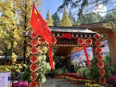-云南民族村
