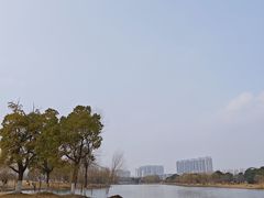 -长广溪湿地公园