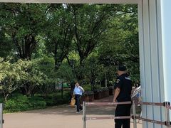 -金鸡湖桃花岛