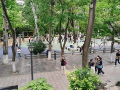-莲湖公园