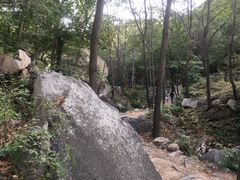 -大岭沟猕猴桃谷风景区