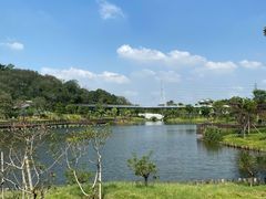 -王借岗森林公园
