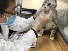 -成都民大动物医院