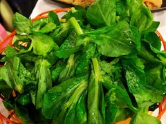 皇帝菜-鲜入围煮花胶鸡海鲜火锅