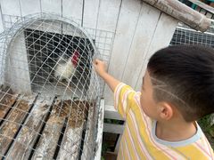 -宁波九龙湖开元度假村