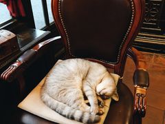 -不舍昼夜咖啡馆