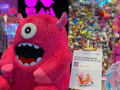 -BIG PINK大粉娃娃机主题馆(圆融星座店)