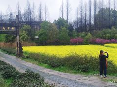 -杏花村文化旅游区