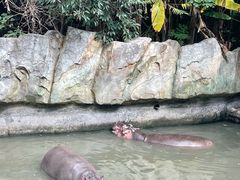 -宁波野生动物园