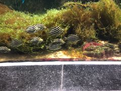 -江和美海洋公园
