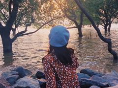 -宝安西湾红树林湿地公园