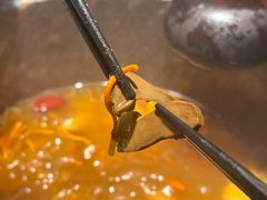 -芸山季·云南山珍菌火锅(人民广场来福士店)