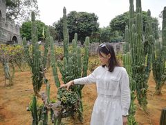 -松山湖梦幻百花洲