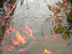 -聚缘堂·海鲜私房菜(松岭路店)