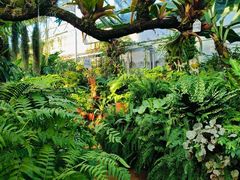 -北京植物园-展览温室