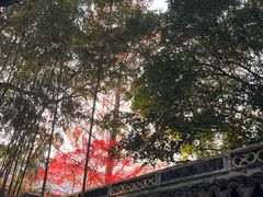 -秋霞圃