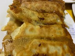 羊肉锅贴-青岛锅贴(洛阳路分店)