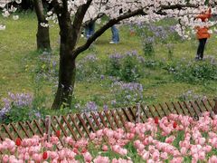 -苏州上方山国家森林公园