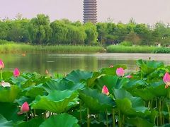 -西海子公园