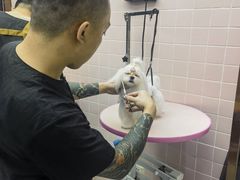 -FAELING PETS美天灵宠物(富力广场店)