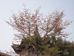 -广州西关永庆坊旅游区