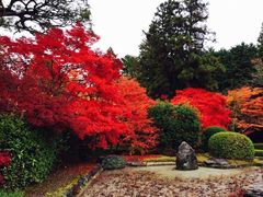 -西芳寺(苔寺)