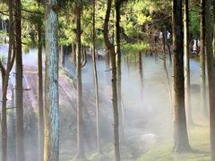 -玉苍山国家森林公园