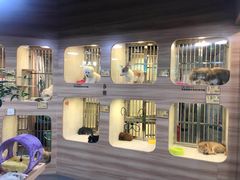 -1013 PET SHOP 宠物商店(近铁城市广场店)