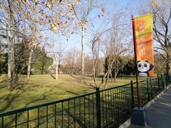 -北京动物园-畅观楼