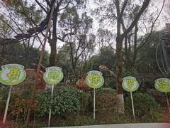 -杭州少年儿童公园