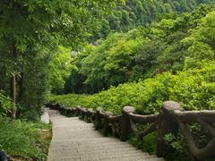 -梧桐山风景名胜区