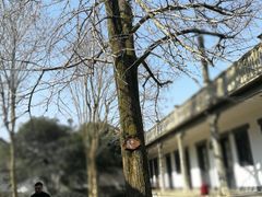 -蒋氏故居