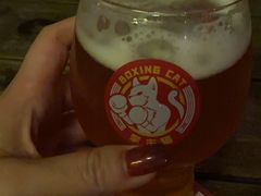 -Boxing Cat Brewery拳击猫精酿啤酒馆(永福店)