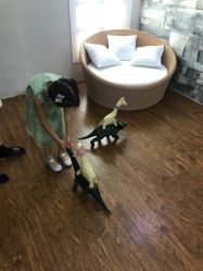 点击看大图 -小鬼当佳儿童摄影(回龙观店)