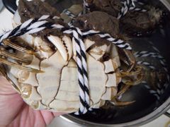-七的湖·晚芳亭·阳澄湖农家菜·大闸蟹(莲花岛店)