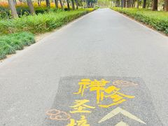 -狼山风景名胜区