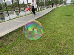 -瑶湖郊野森林公园