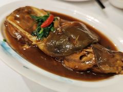 红烧河豚-肆月河豚·新淮扬(金融街店)