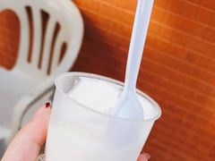 -洪馨椰子
