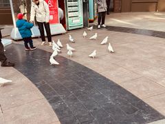 -中粮·祥云小镇