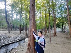 -白水寺森林公园