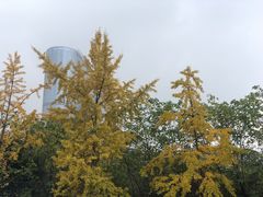 -成都世纪城假日酒店-西楼