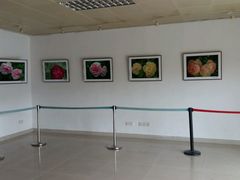 -人民公园(罗湖区)