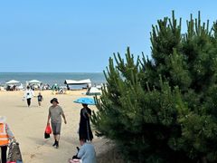 -日照海滨国家森林公园