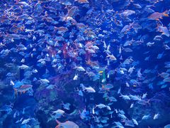 -成都浩海立方海洋公园