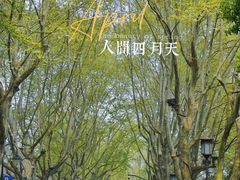 -北山街历史文化街区