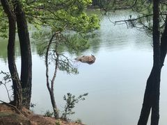 -南京市无想山景区
