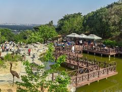 -北京西山国家森林公园