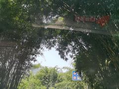 -赤水丹霞旅游区·大瀑布