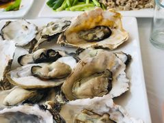 -渔民船说·北塘海鲜·天津菜·海肠捞饭(北塘古镇店)